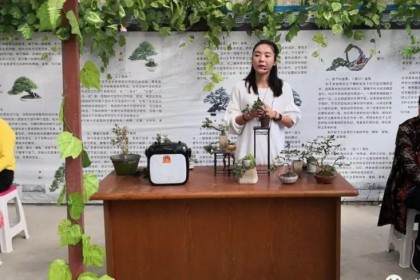 培训课堂-走进盆景世界 感受盆景魅力