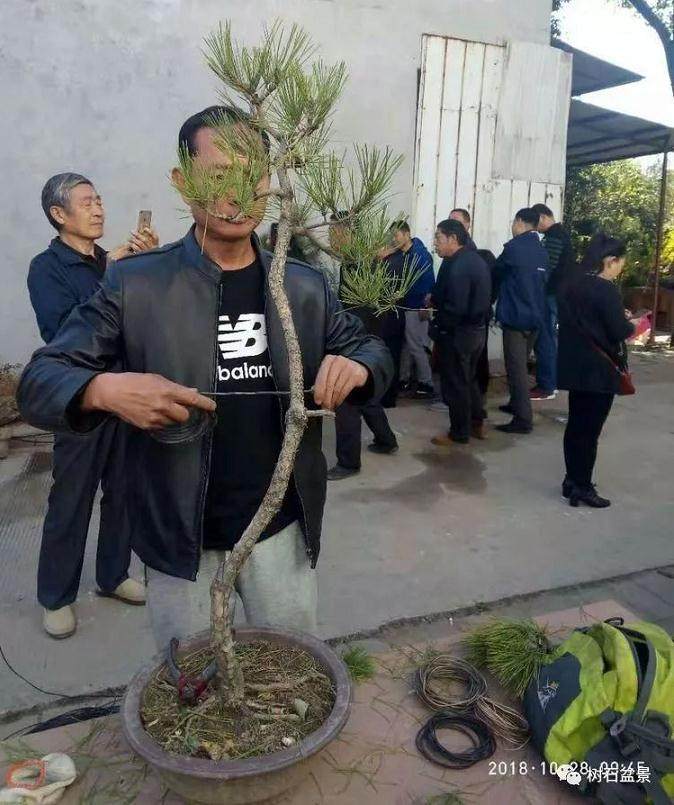 平顶山市第五届盆景创作研讨会召开