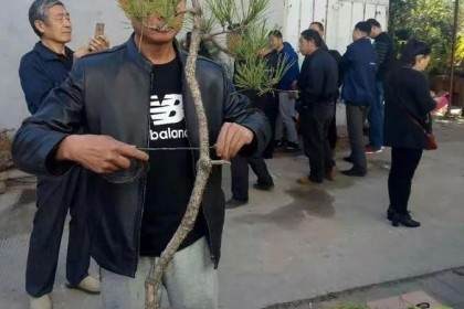 平顶山市第五届盆景创作研讨会召开