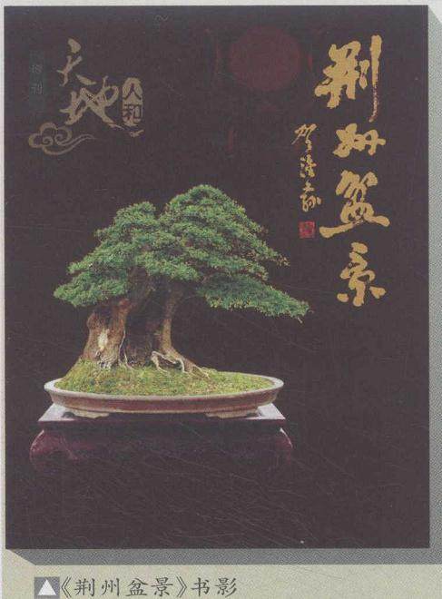 《荆州盆景》画册首发式在三峡宾馆隆重举行