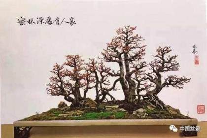 周瘦鹃带了22件盆景作品参加花会的年会活动