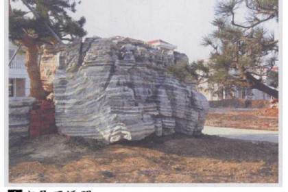 他原来只是个机关干部 现在对经营盆景非常在行