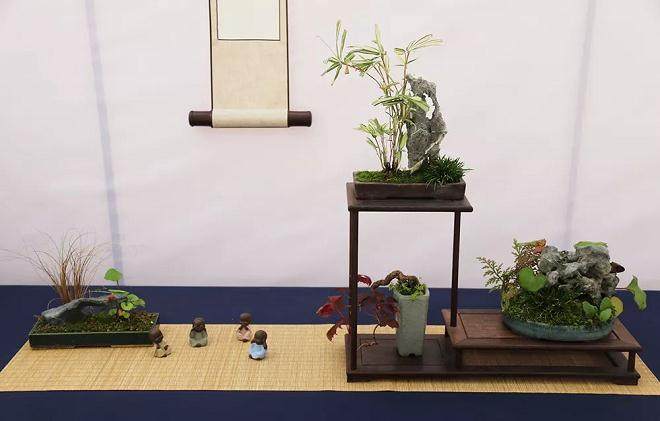 如皋小微盆景展高清实况图