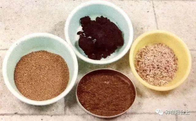 图解 附石型盆景怎么制作的22个步骤