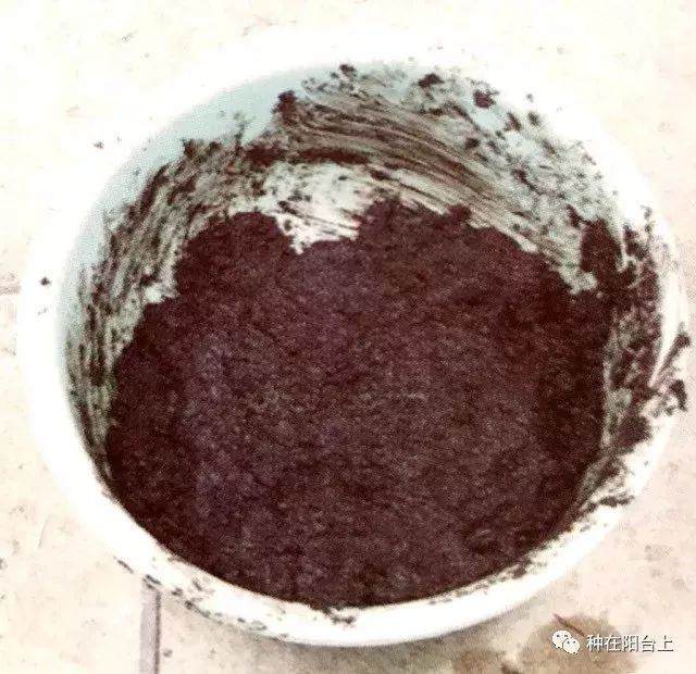 图解 附石型盆景怎么制作的22个步骤