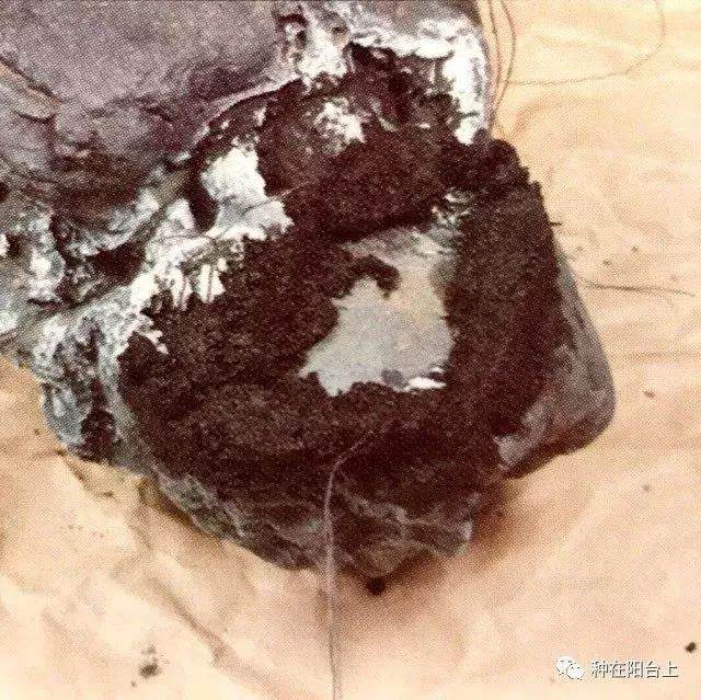 图解 附石型盆景怎么制作的22个步骤