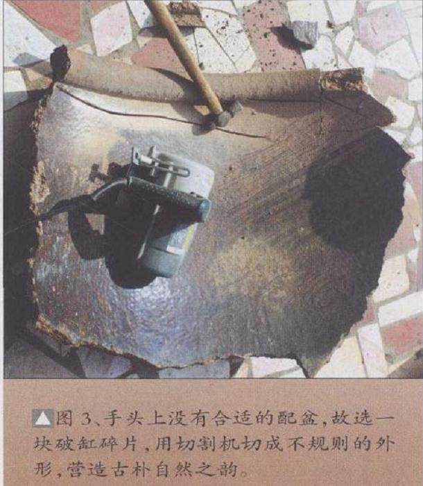 手头上没有合适的配盆