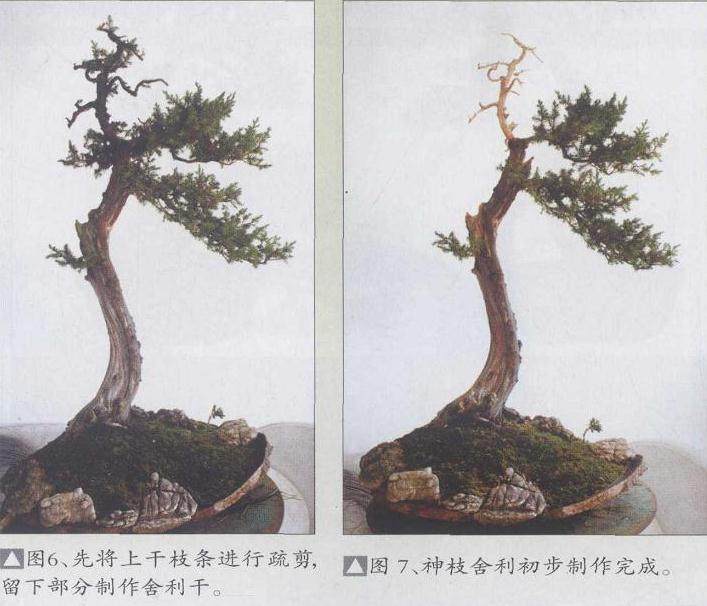 神枝舍利初步制作完成