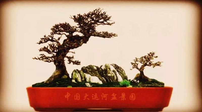 很多西方国家认为盆景是从日本起源的