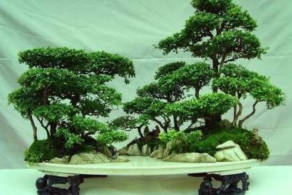 树石盆景为什么在中国兴旺发达？