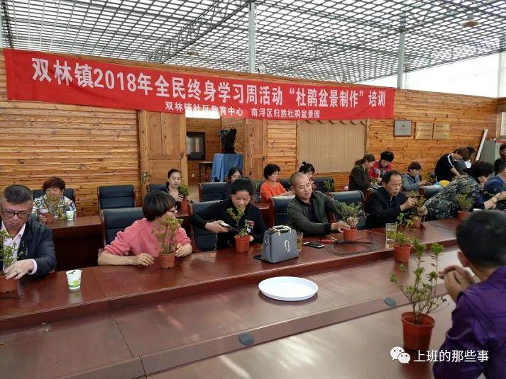 杜鹃盆景制作教学与体验活动在盆景园如期举行