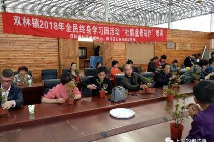 杜鹃盆景制作教学与体验活动在盆景园如期举行