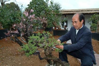 浙江省盆景艺术大师  应国平