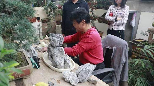教大家如何用一块好的石头去组合成山石盆景