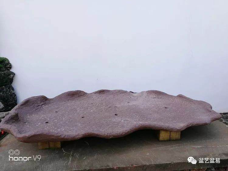 图解 刘传刚制作大型垂枝式树石盆景的方法