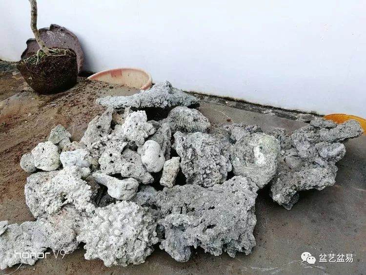 图解 刘传刚制作大型垂枝式树石盆景的方法