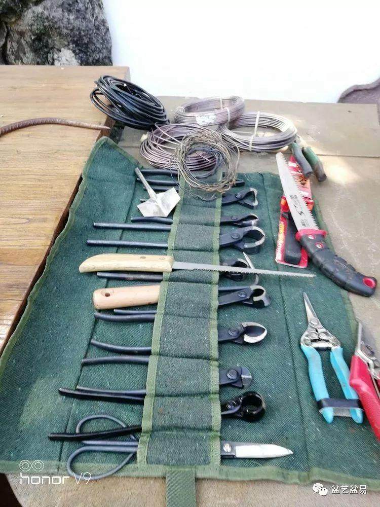 图解 刘传刚制作大型垂枝式树石盆景的方法