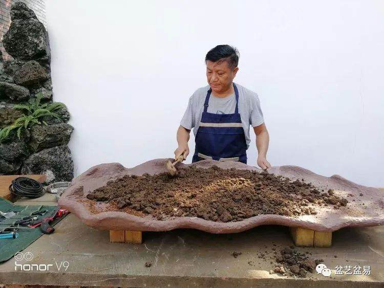 图解 刘传刚制作大型垂枝式树石盆景的方法