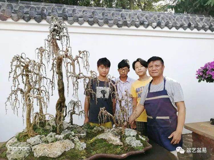 图解 刘传刚制作大型垂枝式树石盆景的方法