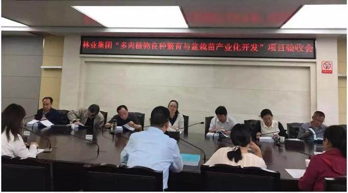 武汉多肉植物良种繁育项目 历时三年成功结题