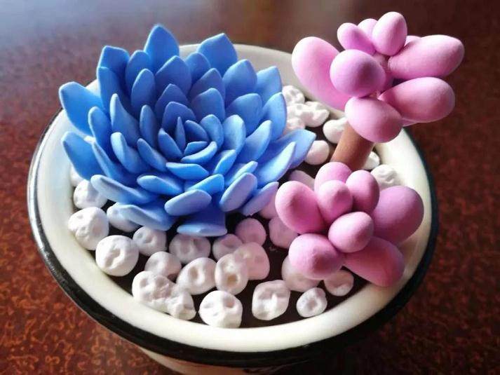 成都手工达人带你玩转植物多肉!