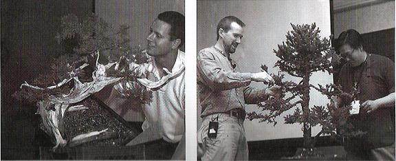 关于波特兰的大宫盆景村版本