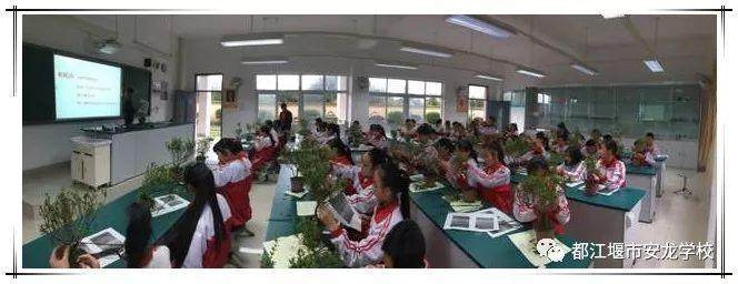 2018年秋 安龙学校迎来了第一堂亲自动手的盆景课