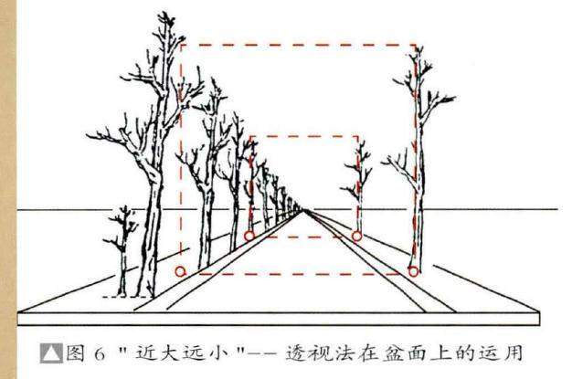给丛林盆景布局的3个步骤