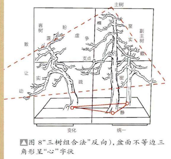 图解 丛林盆景布局的2个组合方法