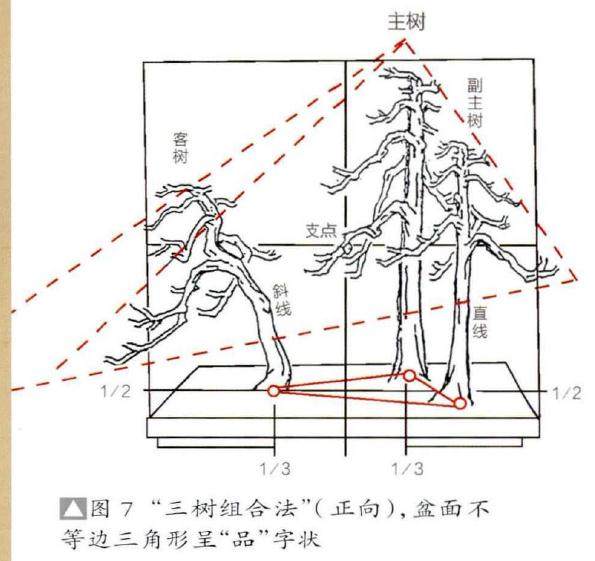 图解 丛林盆景布局的2个组合方法