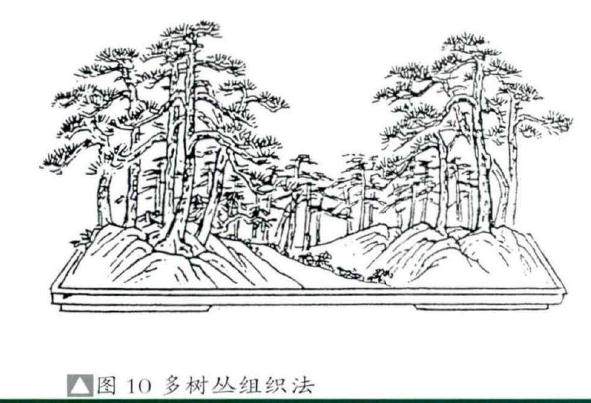 图解 丛林盆景布局的2个组合方法