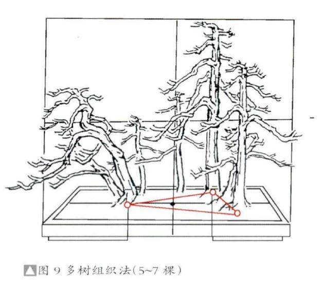 图解 丛林盆景布局的2个组合方法