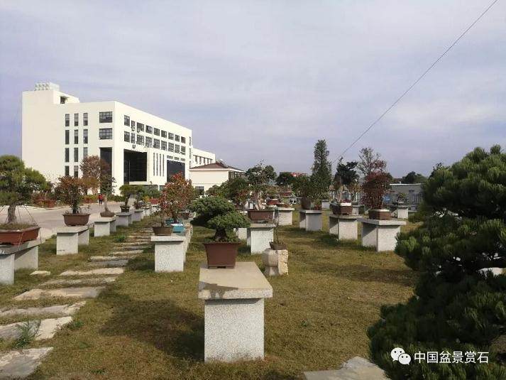 江苏溧水会员活动中心将于11月17日举行授牌仪式