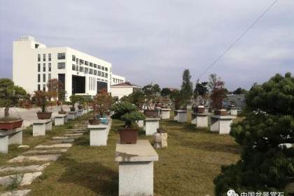 江苏溧水会员活动中心将于11月17日举行授牌仪式