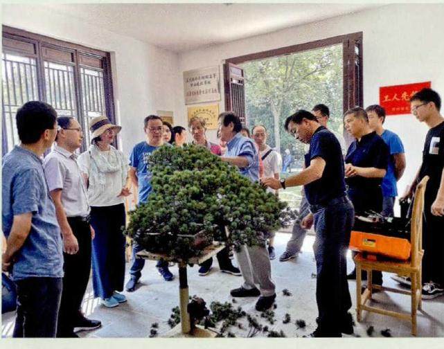 张小宝先生是中国最知名的盆景收藏家之一