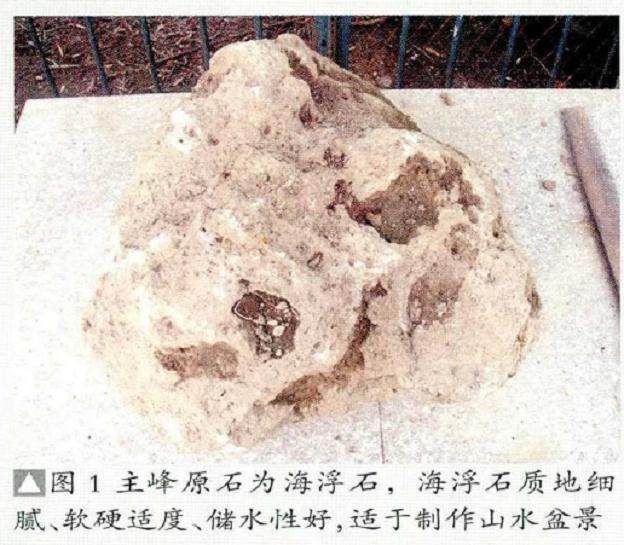 图解山水盆景《秋山晚翠》制作过程