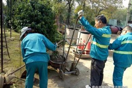 晋中市园林局开展花卉盆景越冬管理工作