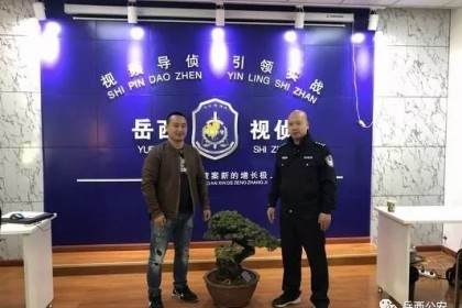 大观园博览园的一棵松树盆景被盗 价值十八万元