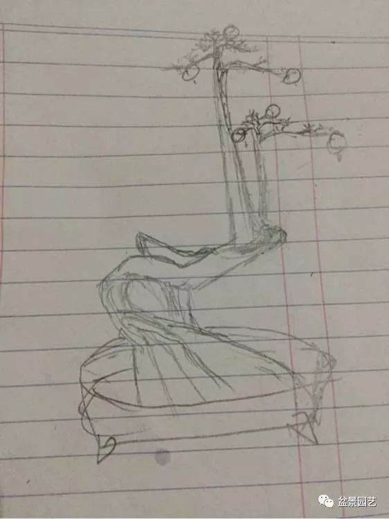 论画图的重要性 分享几组石榴盆景效果图