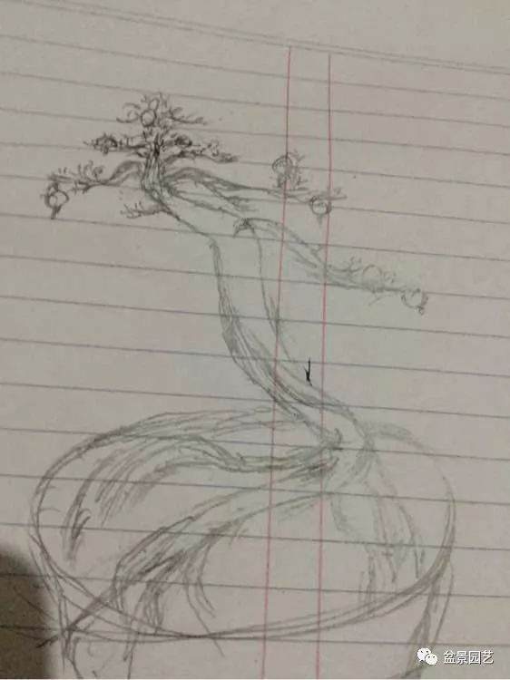 论画图的重要性 分享几组石榴盆景效果图