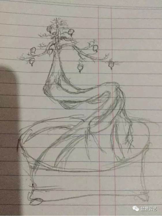 论画图的重要性 分享几组石榴盆景效果图