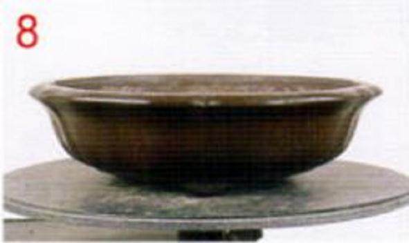 图解 通过更新土壤改善盆景的树作