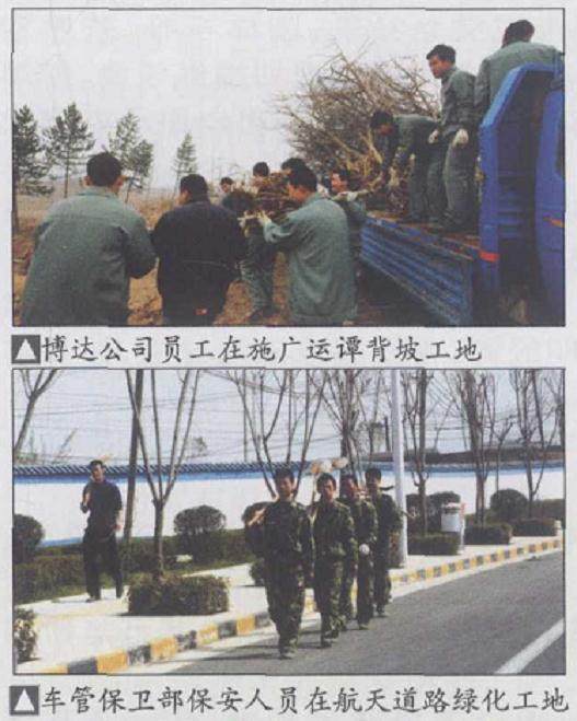博达盆景公司等单位进行分片包干、分工合作