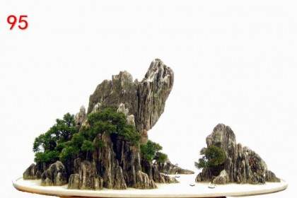 适合秋天养的盆景 初学者的福音