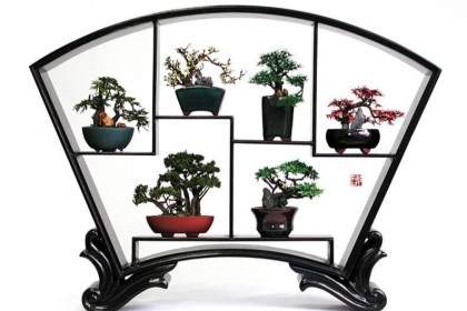 盆景几架提高你的装饰与这些手工制作的盆景站