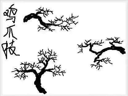 图解 树桩盆景怎么枝条造型的6个方法