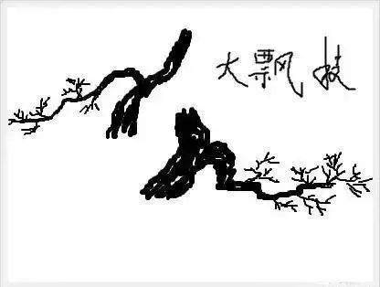 图解 树桩盆景怎么枝条造型的6个方法