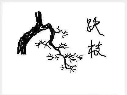 图解 树桩盆景怎么枝条造型的6个方法