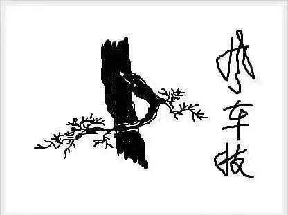 图解 树桩盆景怎么枝条造型的6个方法