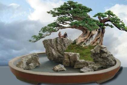 怎样陈设和养护山水盆景